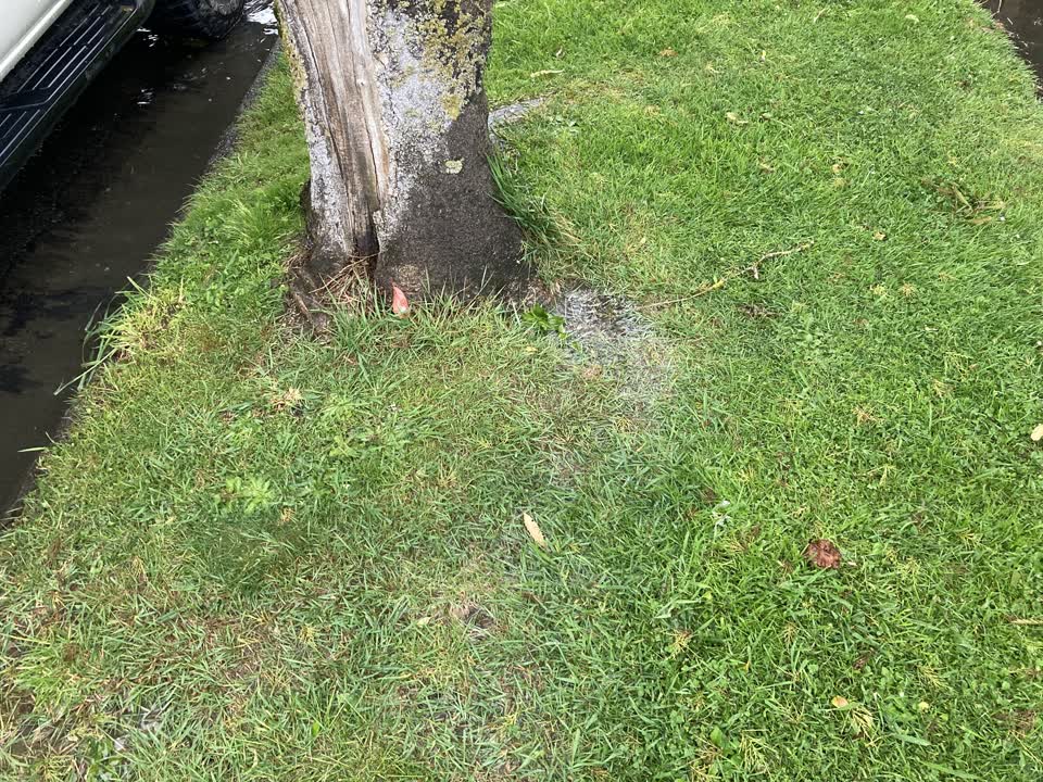 The photograph attached to this wastewater/stormwater report