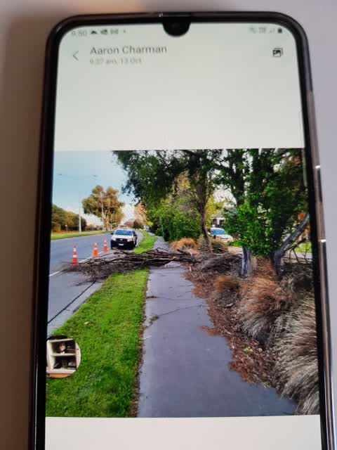 Parks, a report photo