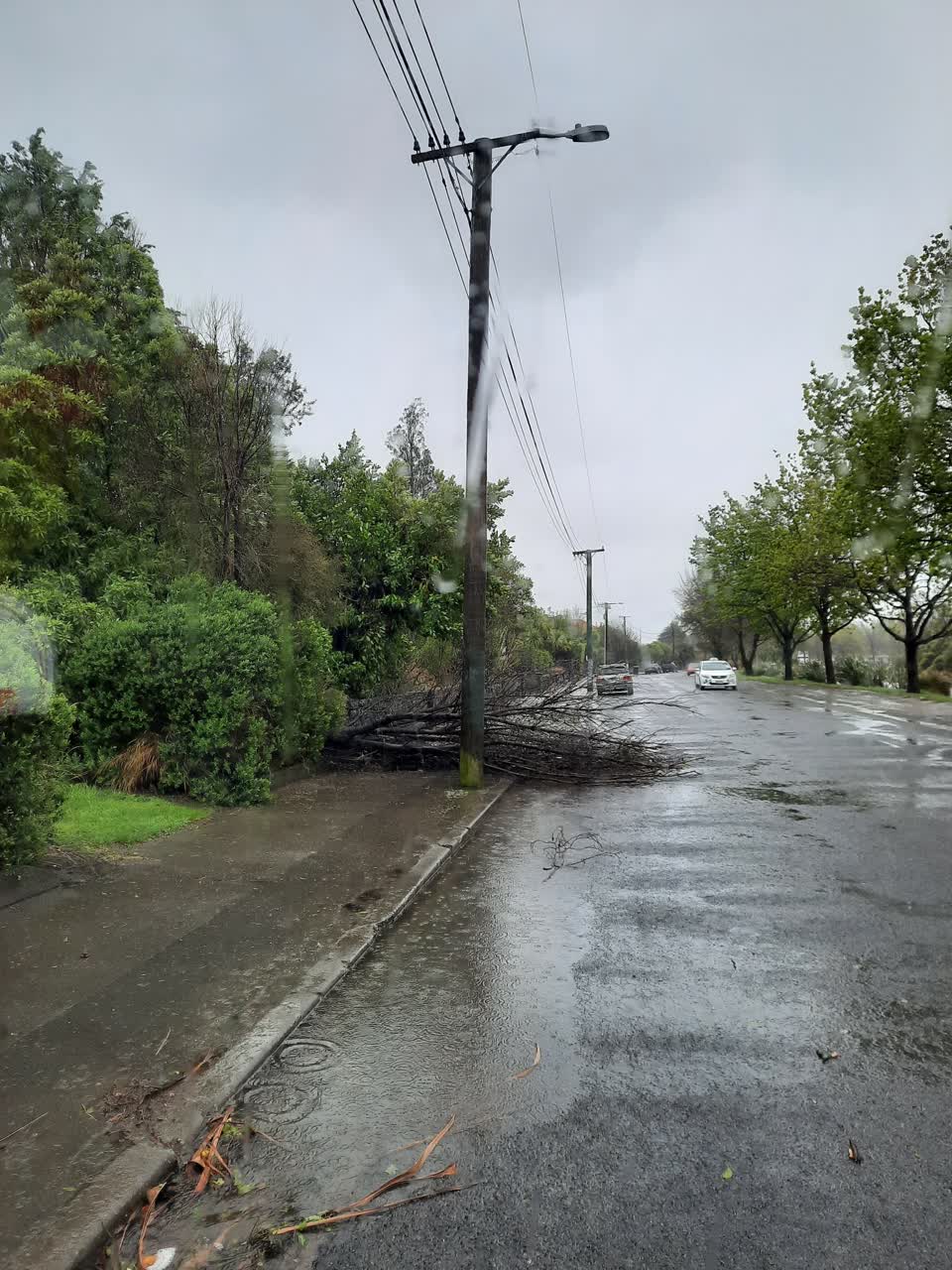 The photograph attached to this parks report