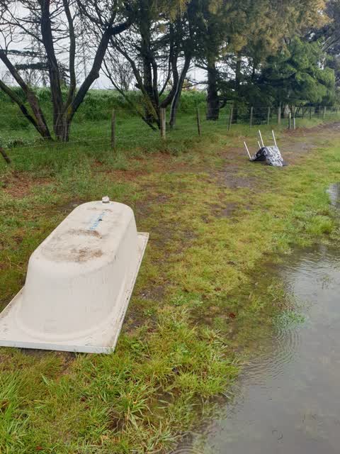 Rubbish/Recycling, a report photo