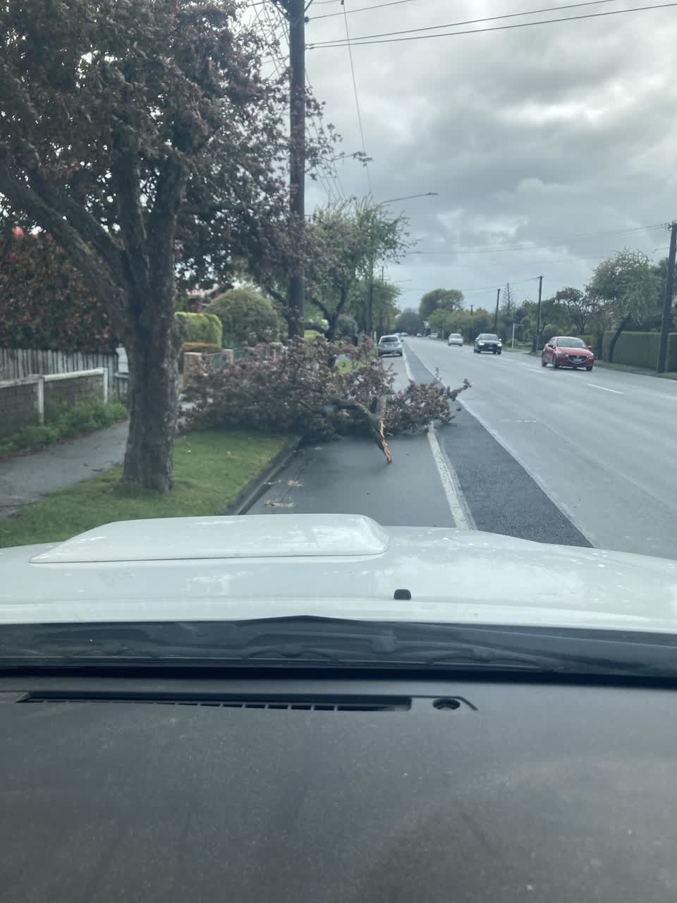 The photograph attached to this roading/streets report