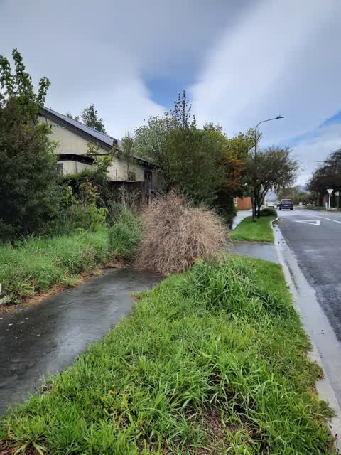 Roading/Streets, a report photo
