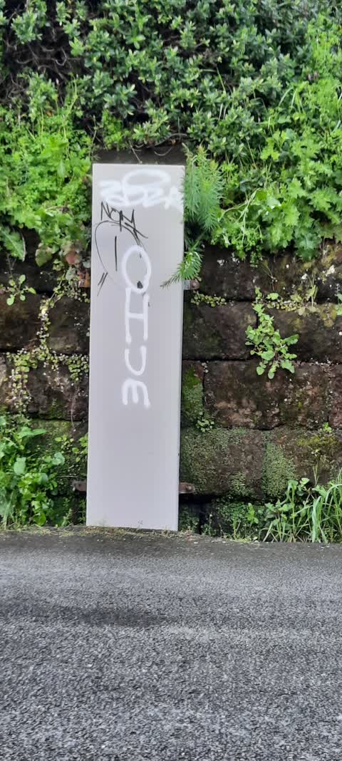 Graffiti, a report photo