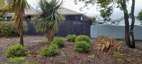 Graffiti — a report photo