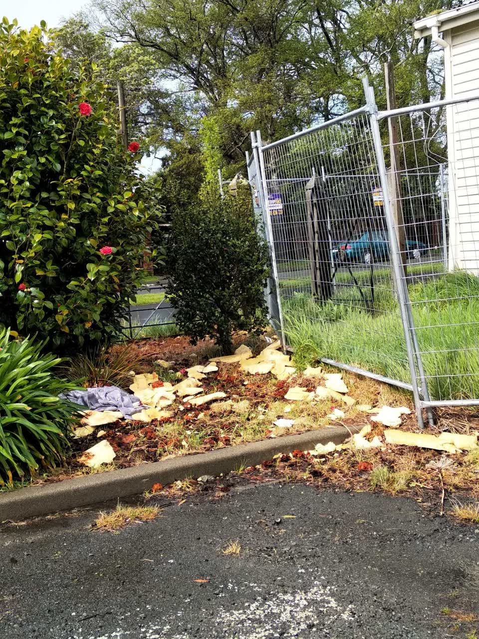 The photograph attached to this parks report