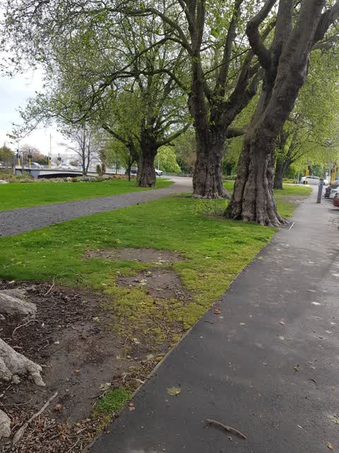 Roading/Streets, a report photo