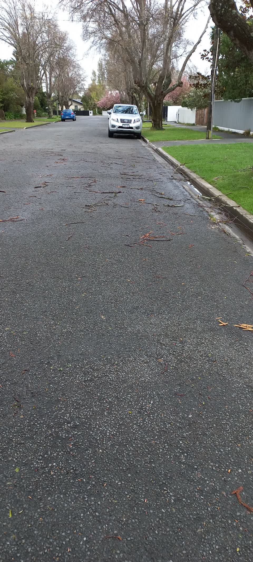 The photograph attached to this roading/streets report