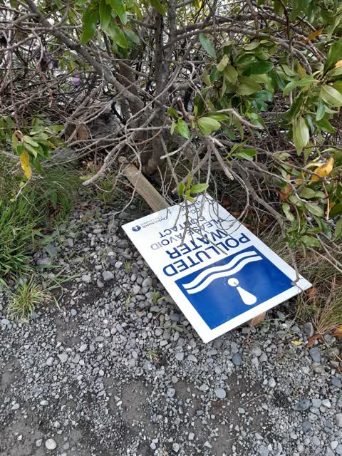 Roading/Streets — a report photo