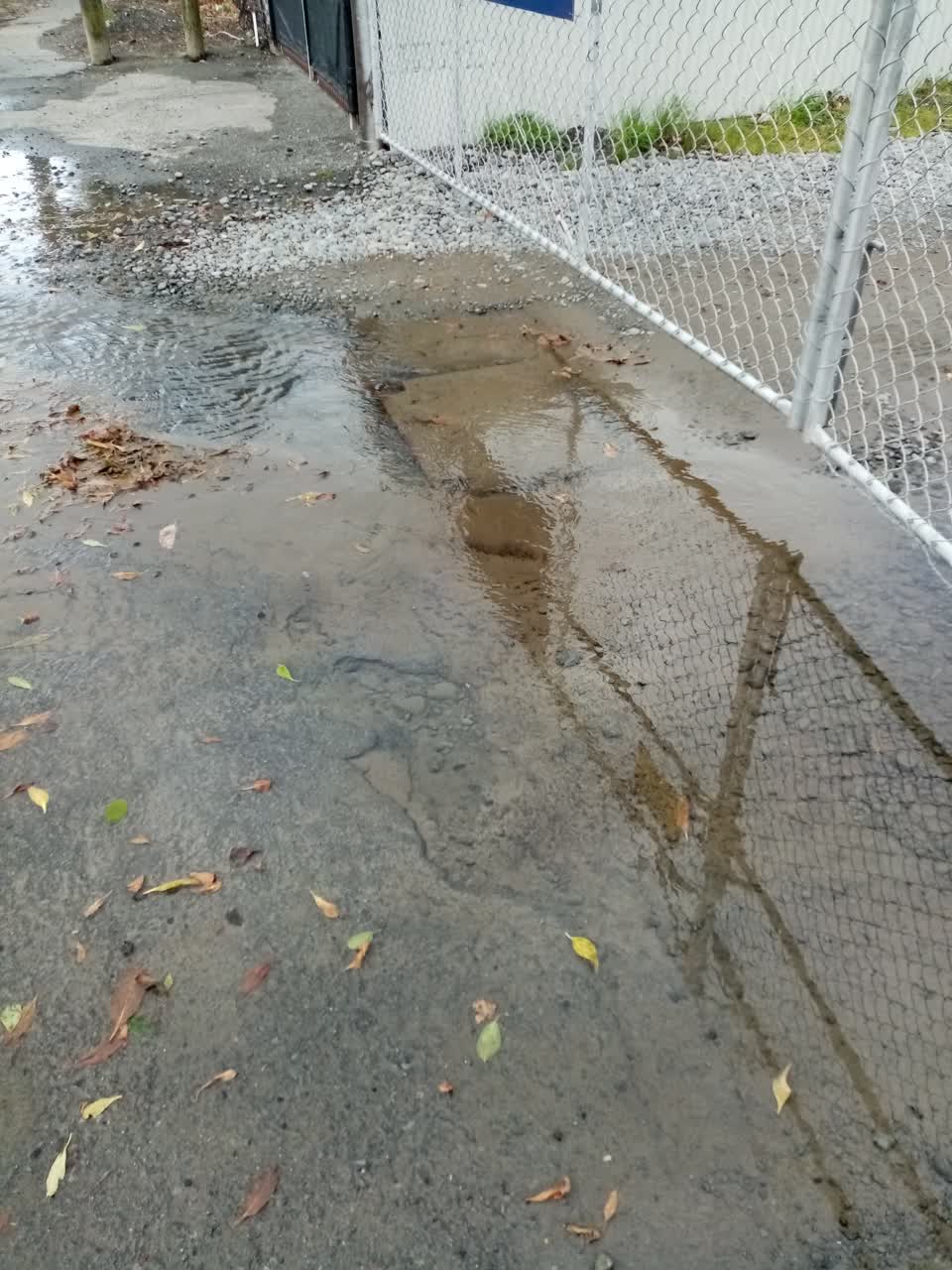 The photograph attached to this water leak report
