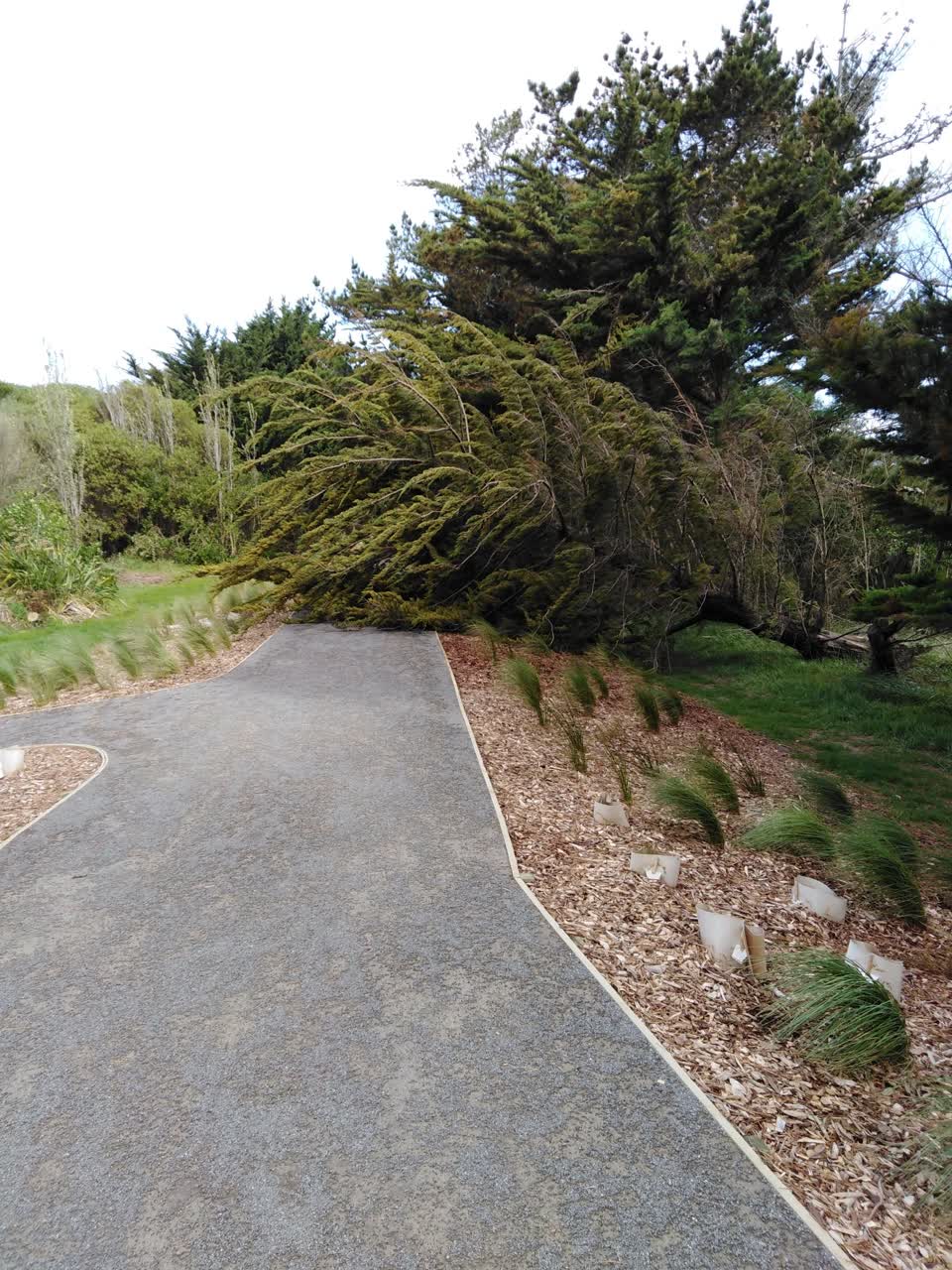 The photograph attached to this parks report