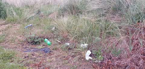 Rubbish/Recycling — a report photo