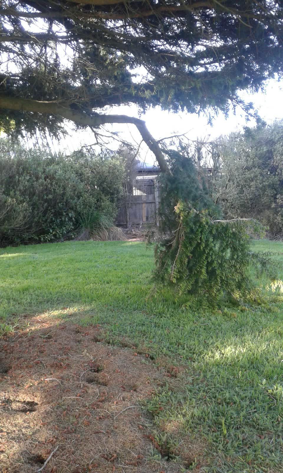 The photograph attached to this parks report