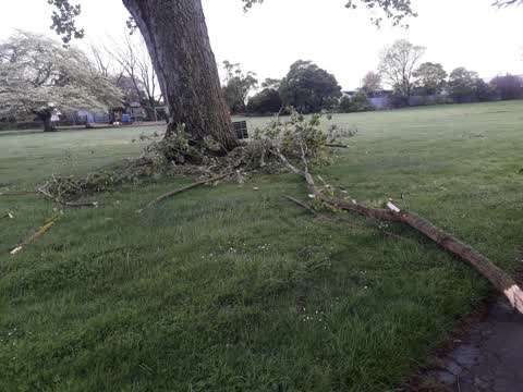 Parks, a report photo