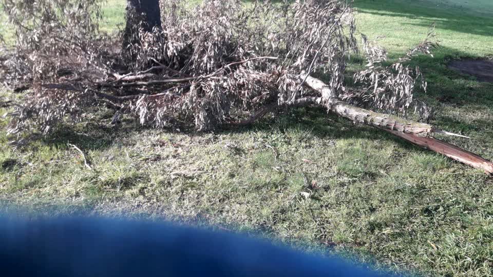 The photograph attached to this parks report