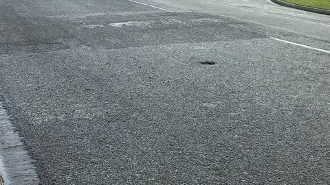 Roading/Streets, a report photo