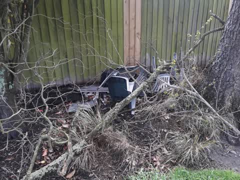 Parks, a report photo