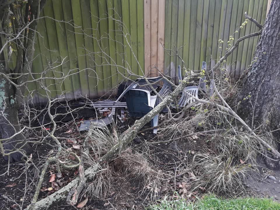The photograph attached to this parks report