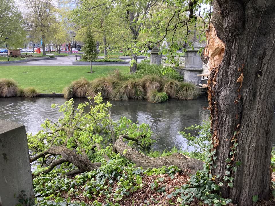 The photograph attached to this parks report