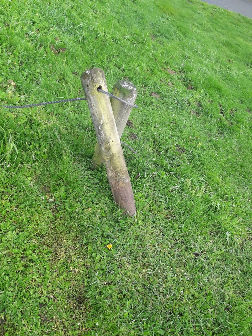 The photograph attached to this parks report