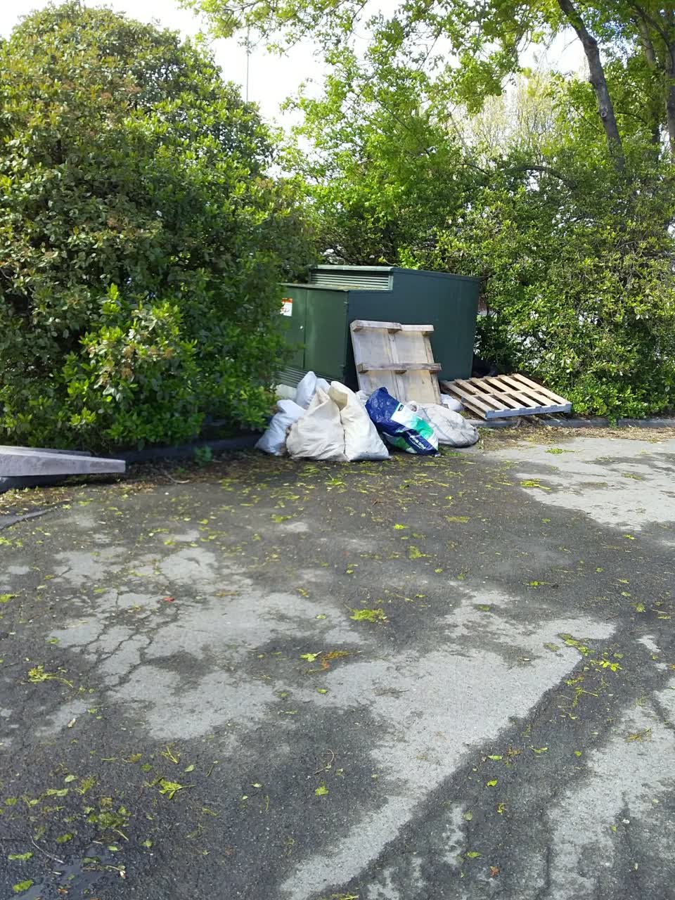 The photograph attached to this rubbish/recycling report