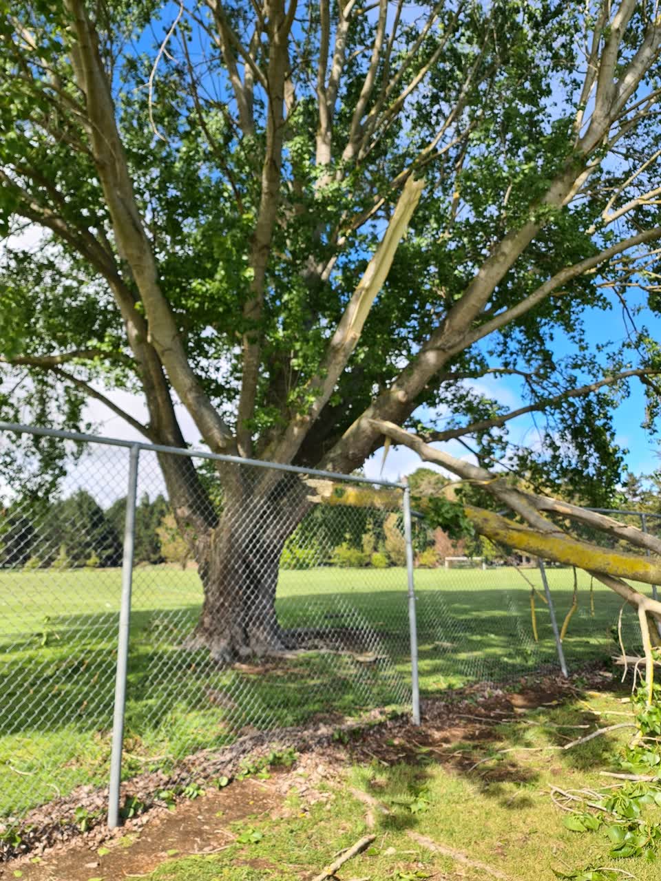The photograph attached to this parks report