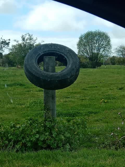 Rubbish/Recycling, a report photo