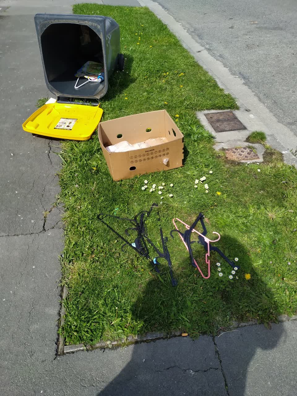 The photograph attached to this rubbish/recycling report