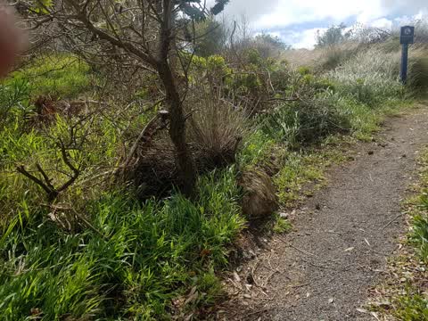Roading/Streets, a report photo