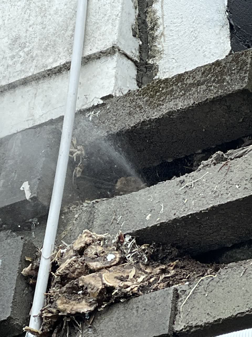 The photograph attached to this water leak report