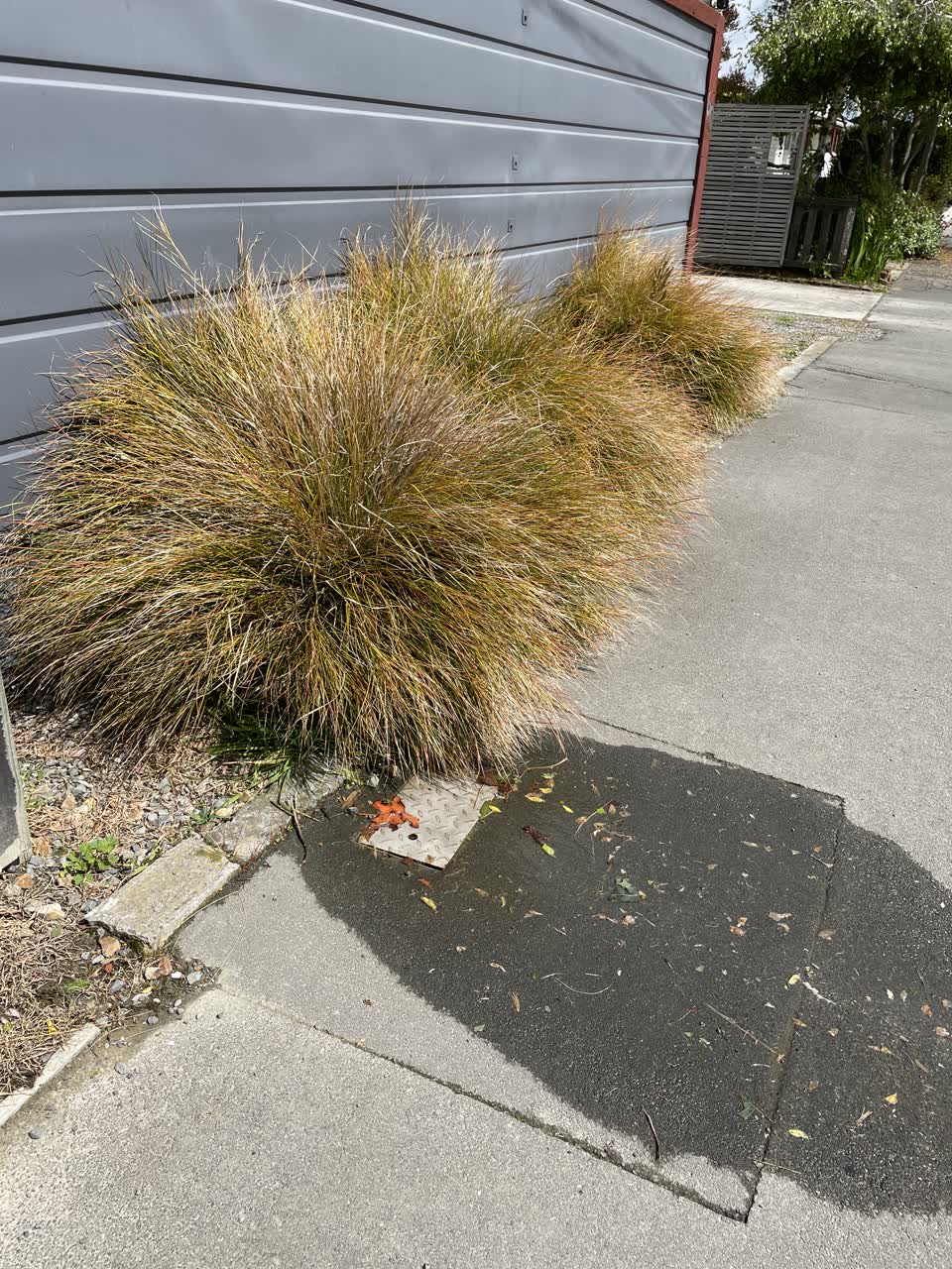 The photograph attached to this water leak report