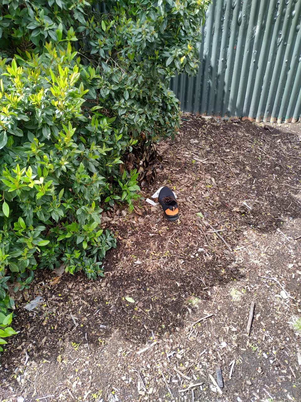 The photograph attached to this rubbish/recycling report