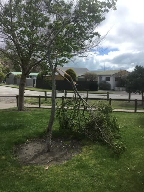Parks, a report photo
