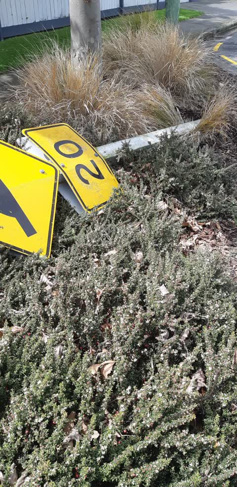 Roading/Streets, a report photo