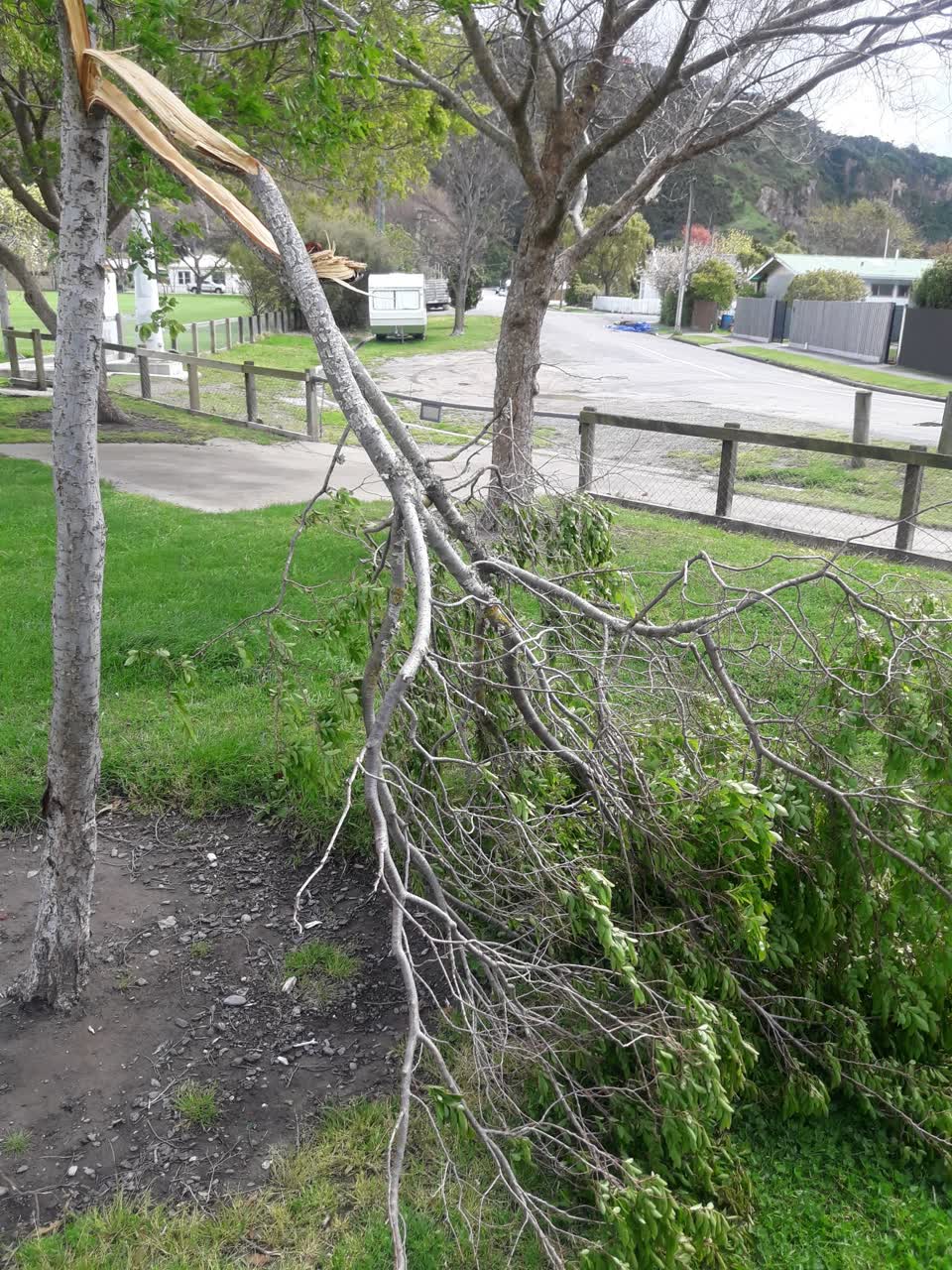 The photograph attached to this parks report