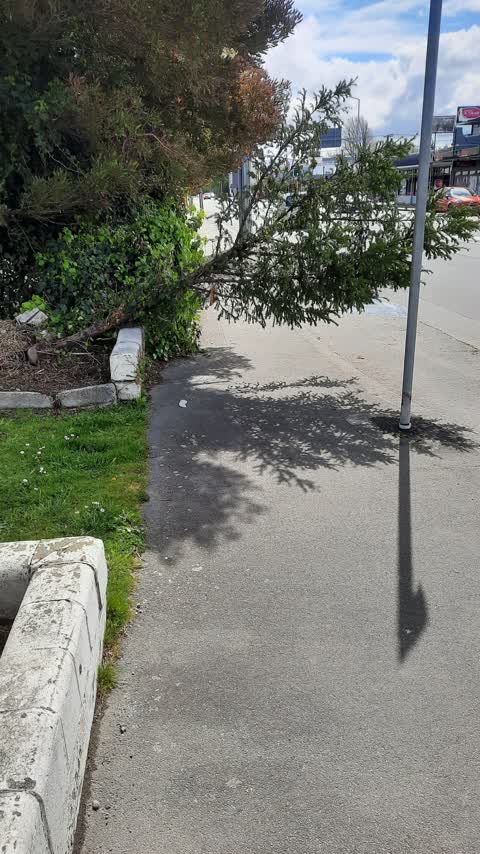 Roading/Streets, a report photo