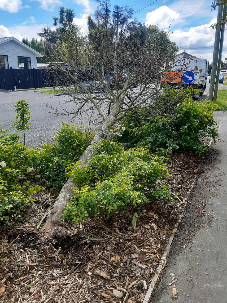 The photograph attached to this roading/streets report