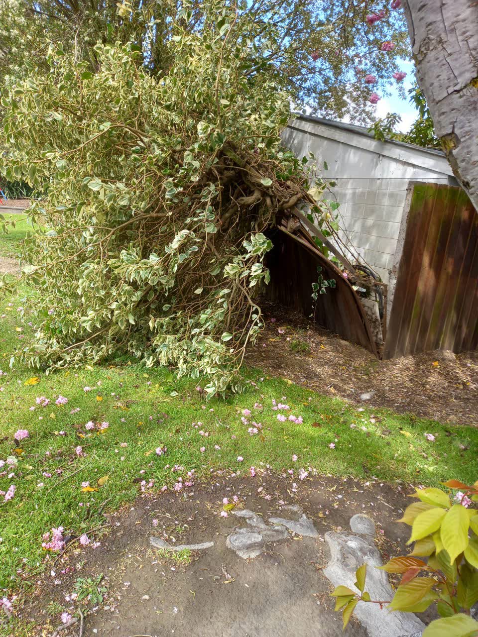 The photograph attached to this parks report