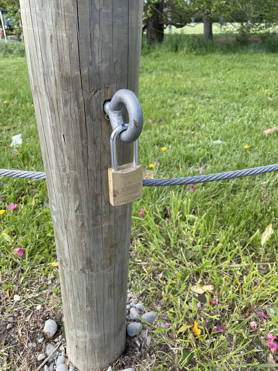 The photograph attached to this parks report