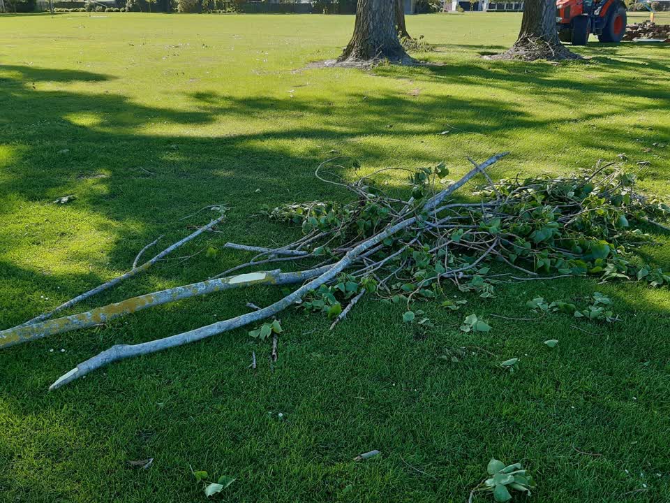 The photograph attached to this parks report