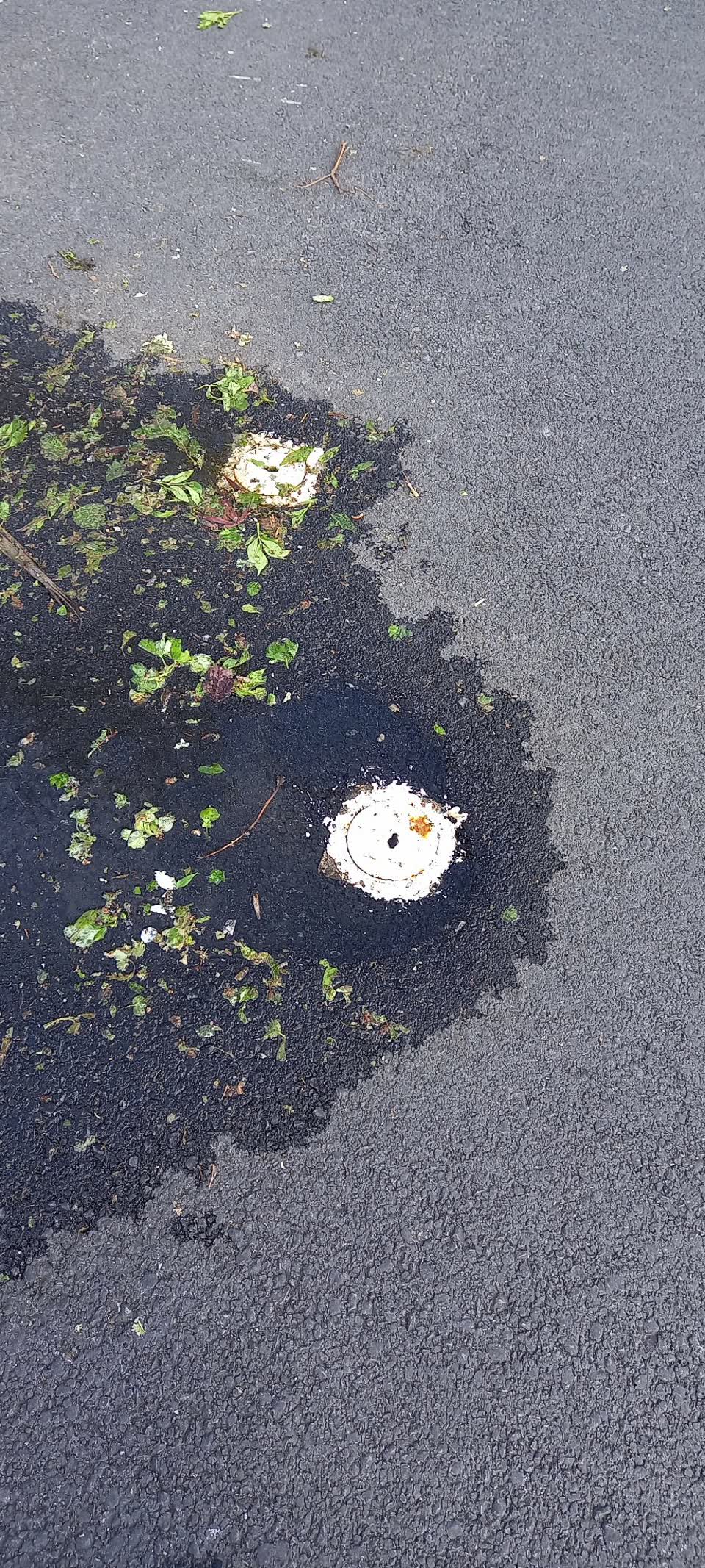 The photograph attached to this water leak report