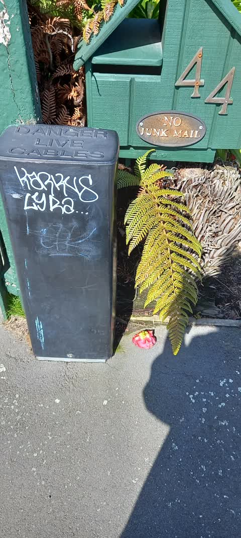 Graffiti, a report photo