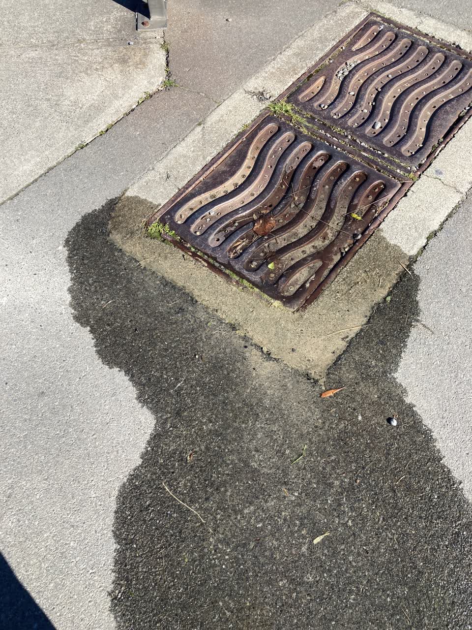 The photograph attached to this water leak report
