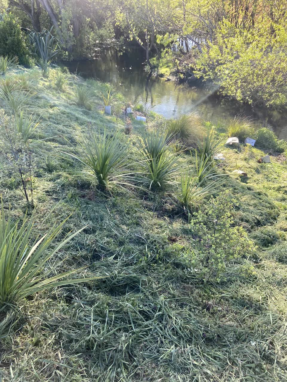 The photograph attached to this parks report