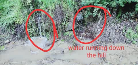 Flooding, a report photo