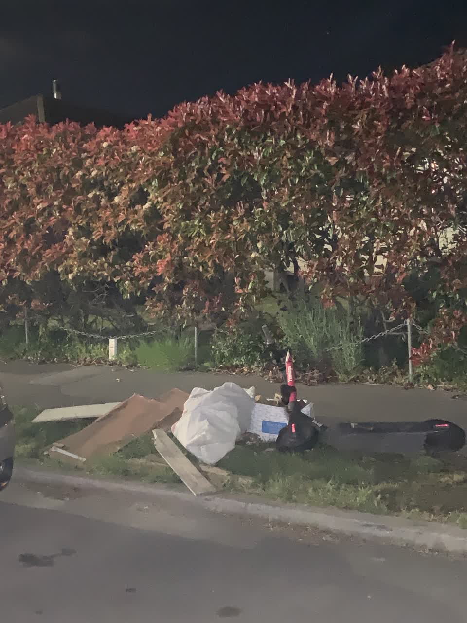 The photograph attached to this rubbish/recycling report