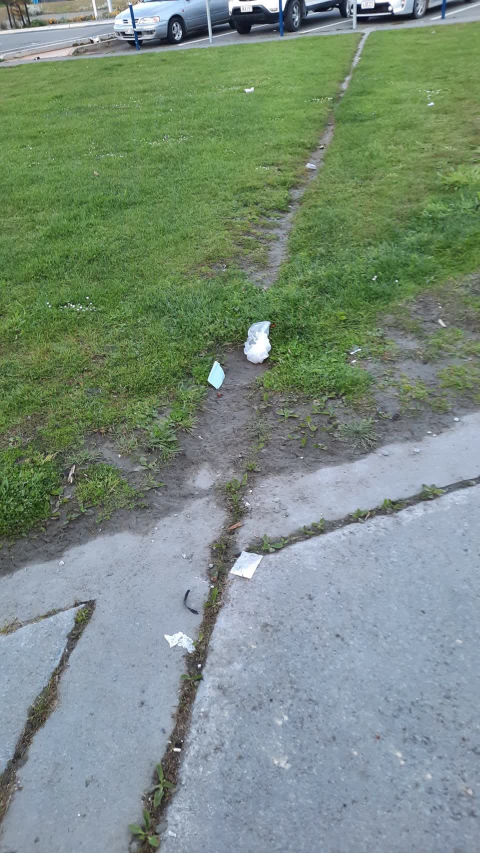 The photograph attached to this parks report