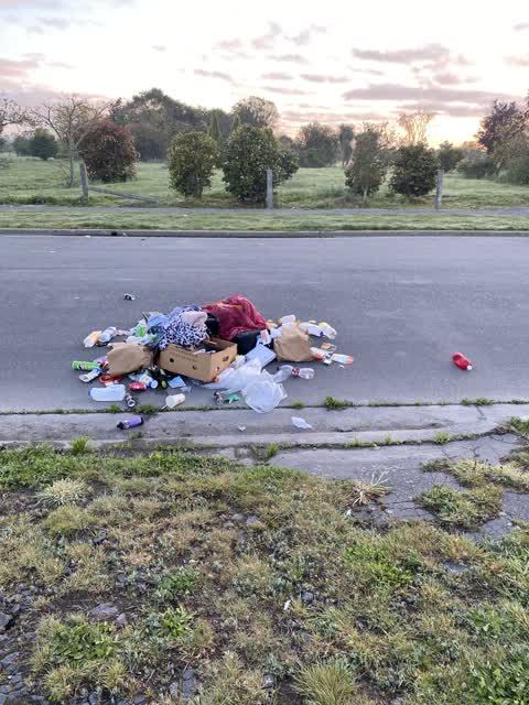 Rubbish/Recycling, a report photo