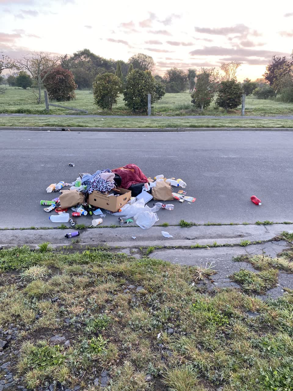 The photograph attached to this rubbish/recycling report