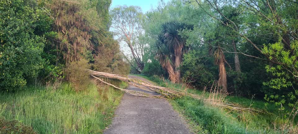 The photograph attached to this parks report