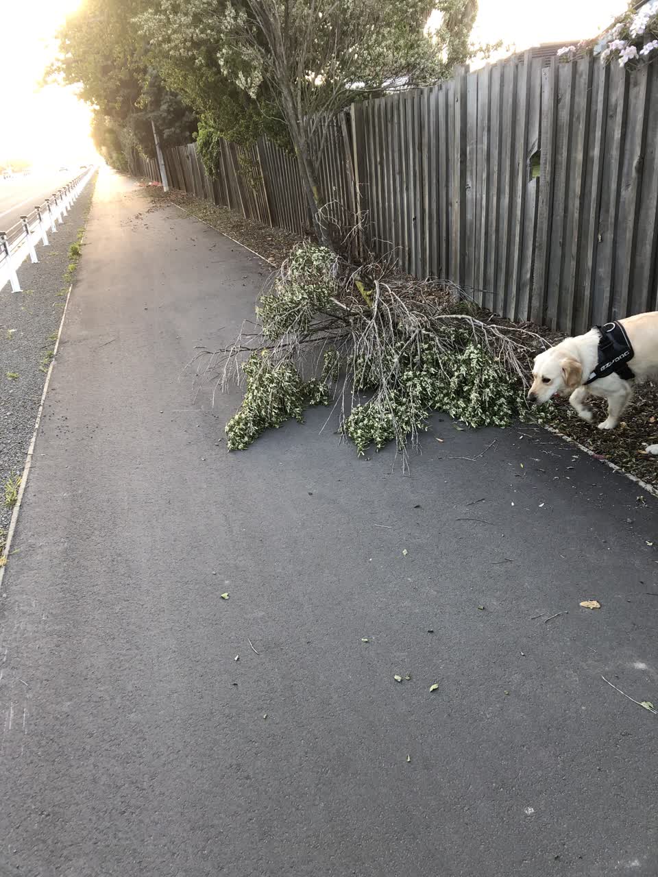 The photograph attached to this roading/streets report